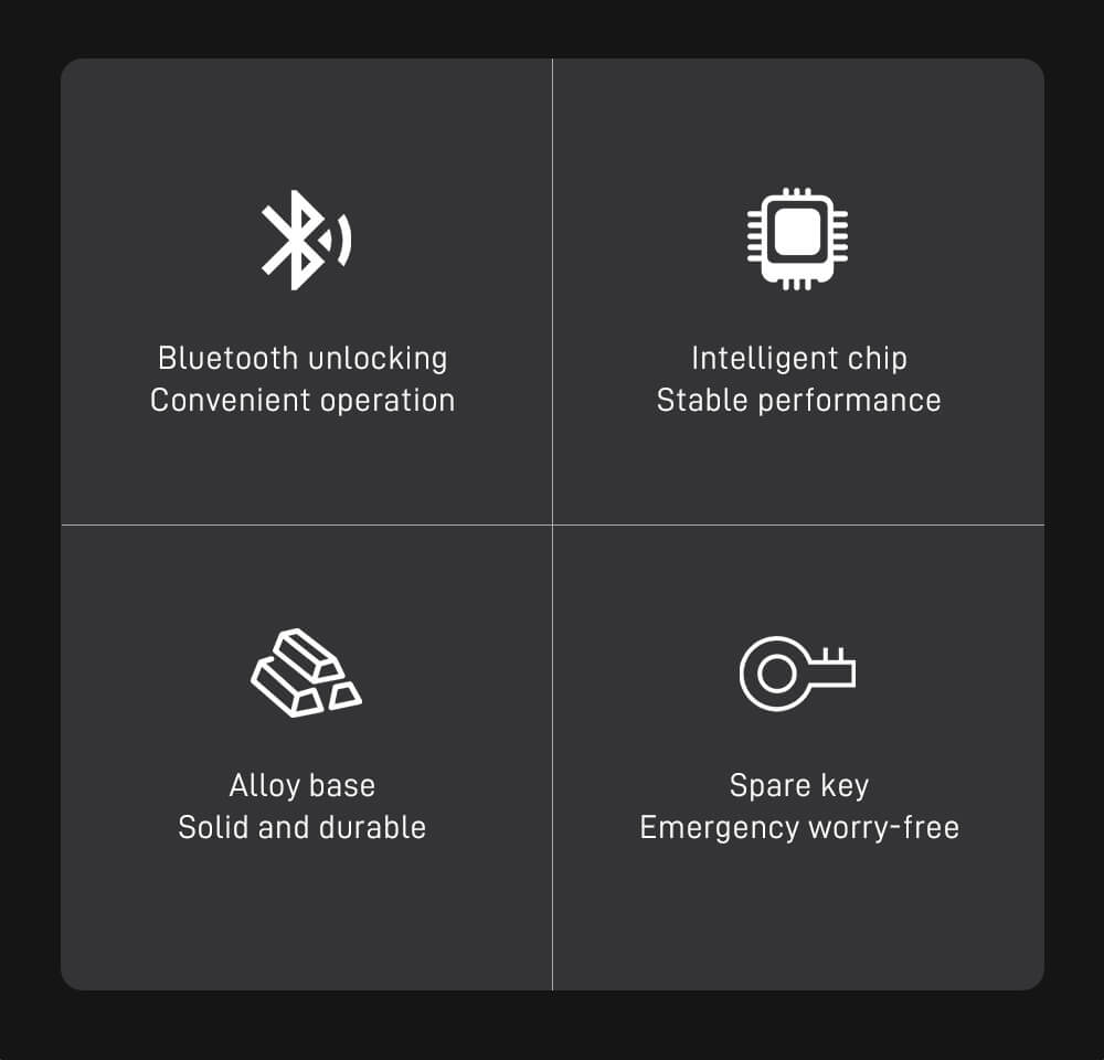 Allrent - Omni Multifunction Locker Lock